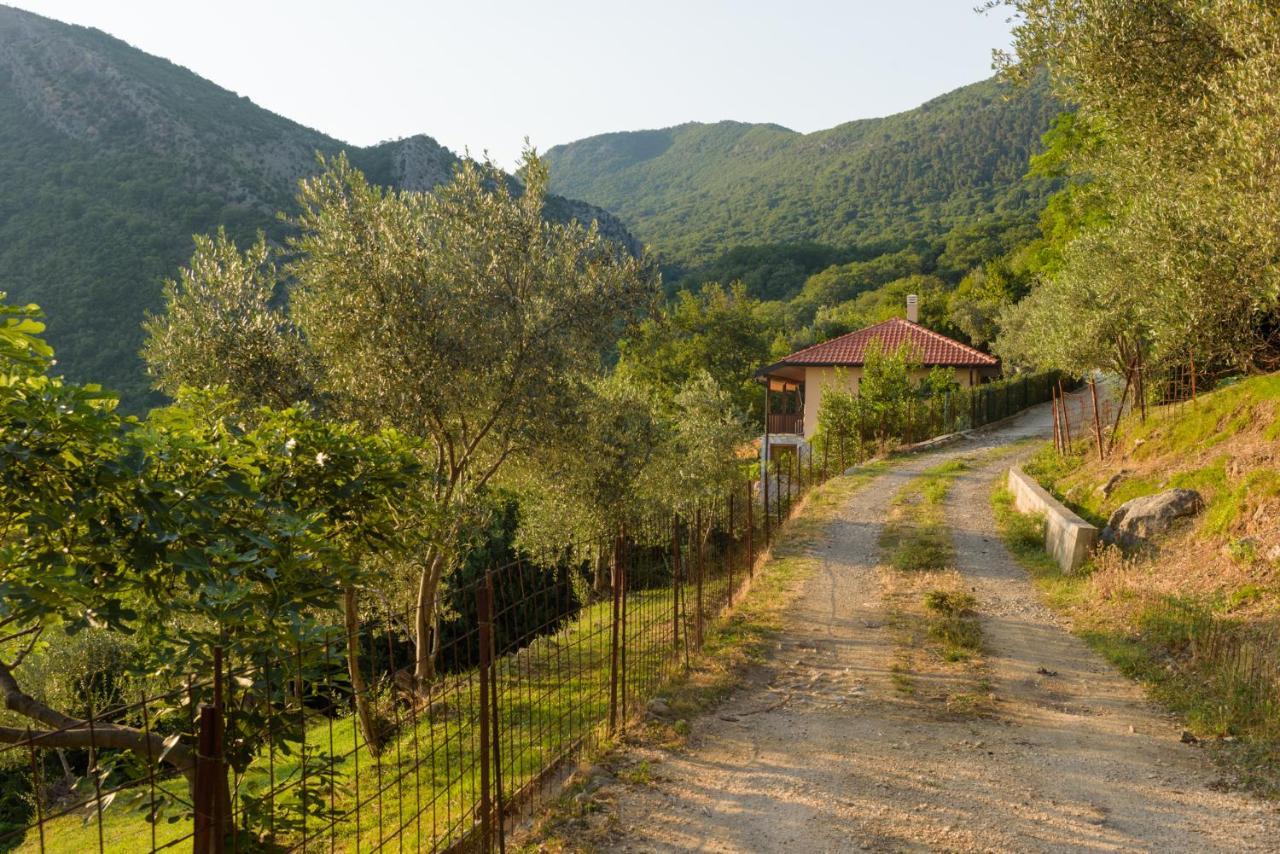 Sunset Holiday Home Tivat Dış mekan fotoğraf